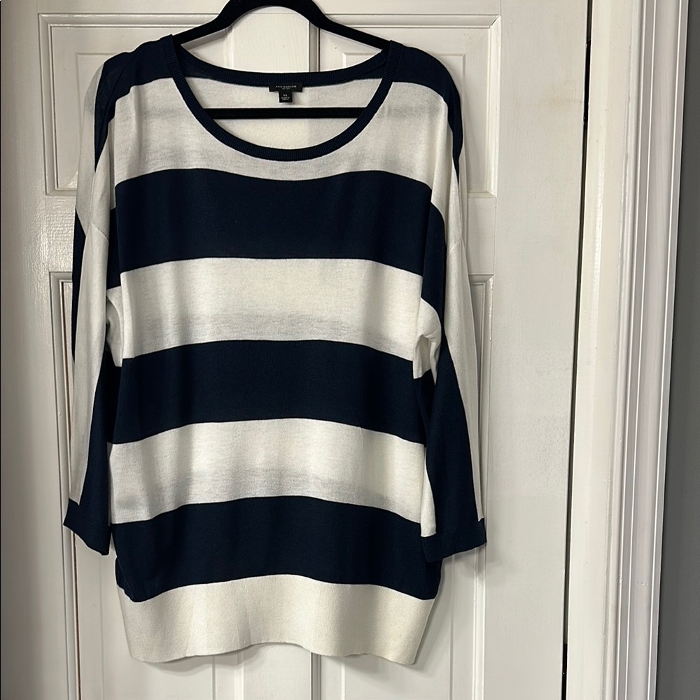 Ann Taylor Navy and White Crew Neck Sweater